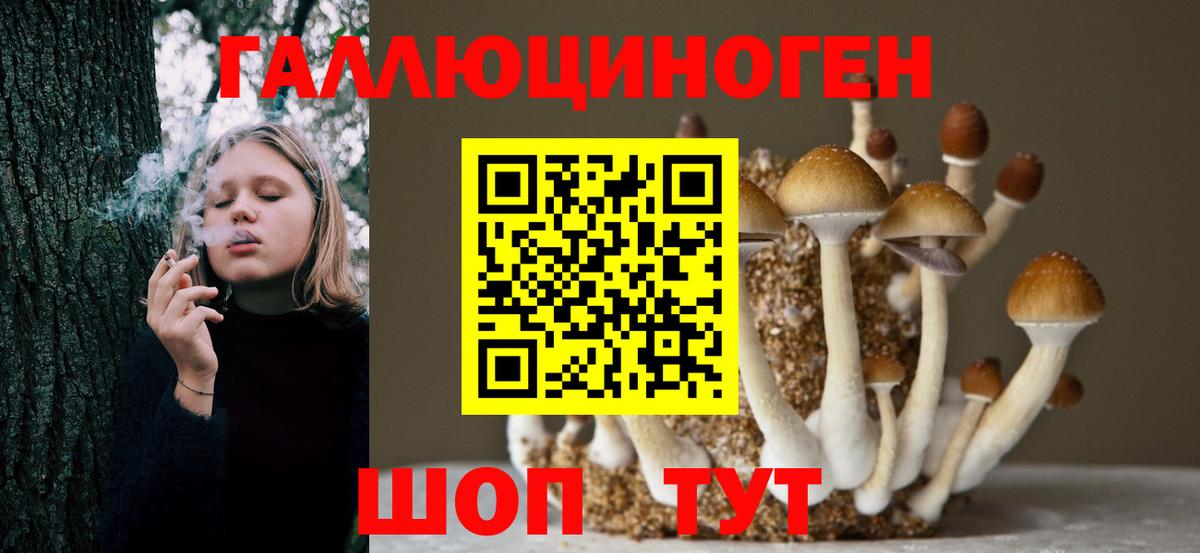 Псилоцибиновые грибы MAGIC MUSHROOMS Гудермес