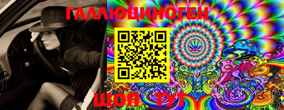 Гудермес  Псилоцибиновые грибы Psilocybe  Вход с VPN 